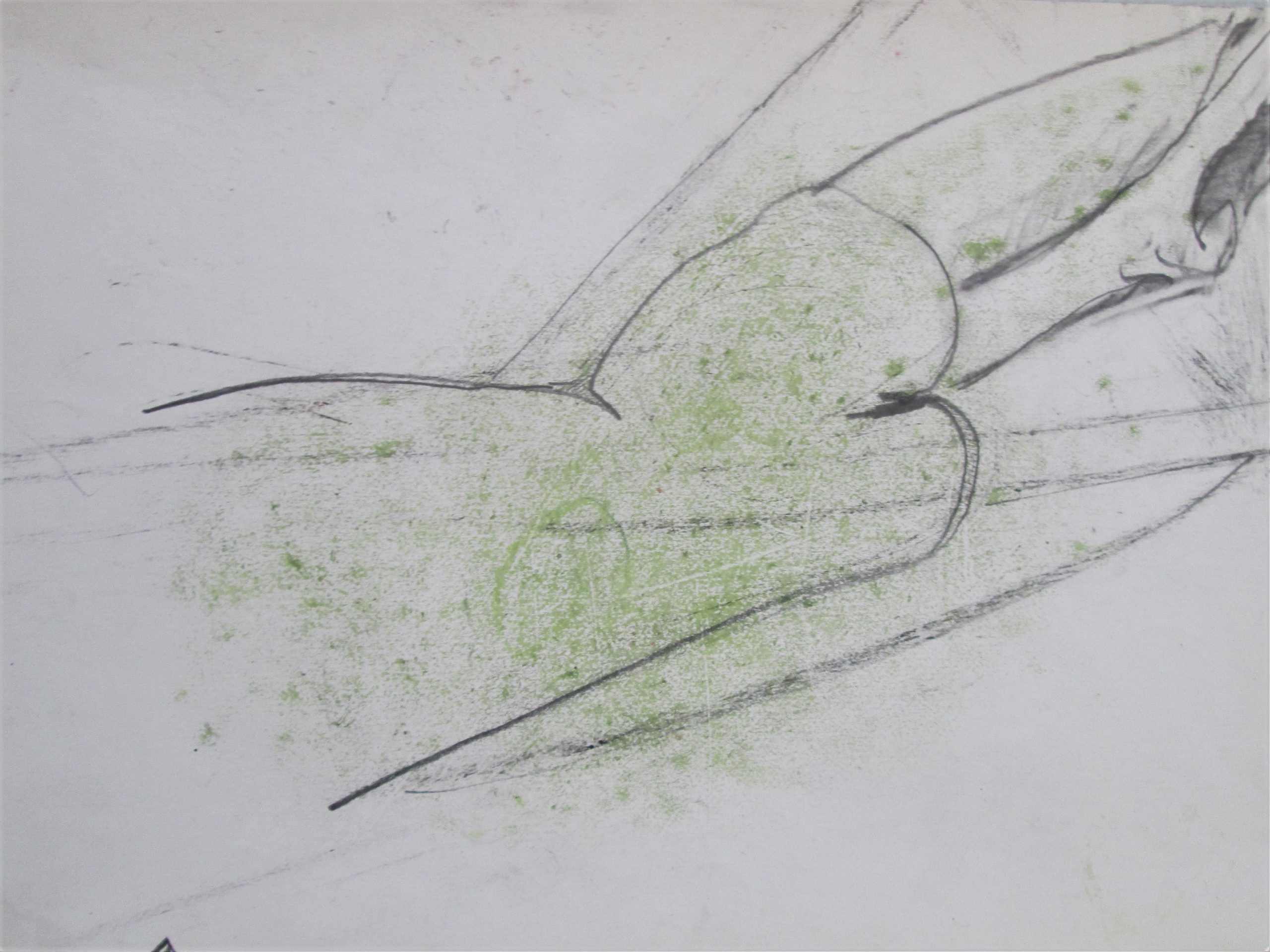 Ambrosio Paolo - Disegno automatico 2