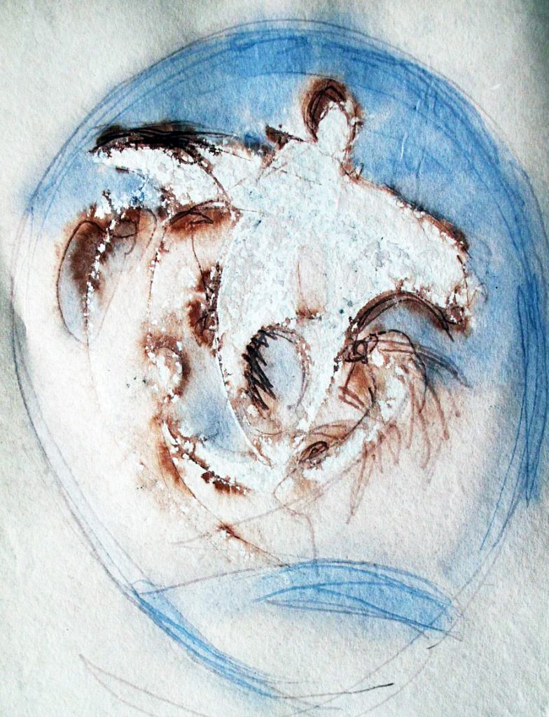 Ambrosio Paolo - Dal sogno di Icaro a correre sull’acqua